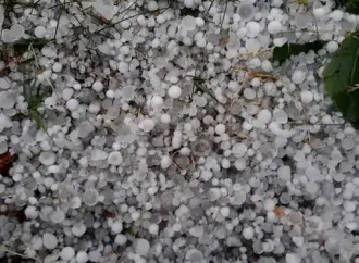 Hailstorm damages apple orchards in south Kashmir
