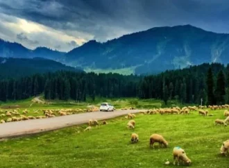 Master plan framework for Doodhpathri development reviewed