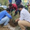 Residents plant 500 deodar saplings in Srinagar forest block
