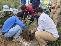 Residents plant 500 deodar saplings in Srinagar forest block