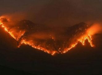 IMD issues yellow alert for forest fire risk