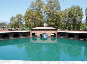 The Sparkling Spring