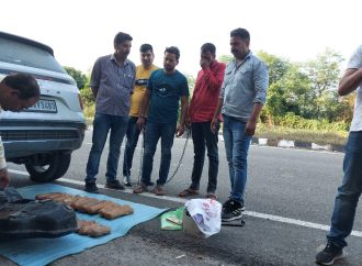 ANTF arrests interstate drug smuggler in Patiala