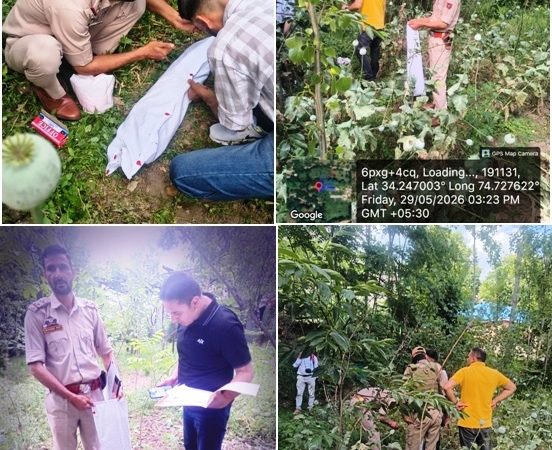 Central Kashmir Excise Range destroys poppy cultivation at multiple locations