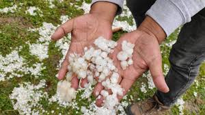 Hailstorms batter Kashmir orchards, growers renew crop insurance demand