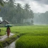 IMD forecasts below-normal monsoon rainfall for India in 2026