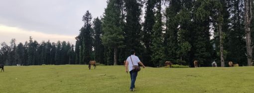 Springkeepers of Kashmir