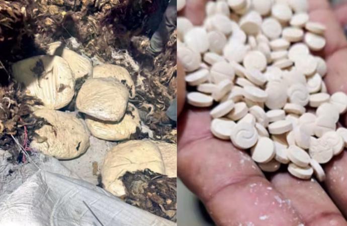 NCB seizes 227.7 kg of Captagon in first major bust, Syrian national arrested