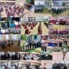 Quiz competitions, awareness programmes held across Bandipora under NMBA
