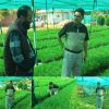SDM Khansahib reviews forest nursery stock, plantation activities, Muharram arrangements