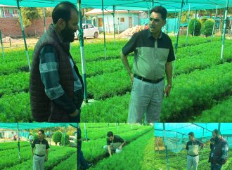 SDM Khansahib reviews forest nursery stock, plantation activities, Muharram arrangements