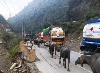 Srinagar-Jammu highway open for 2-way traffic