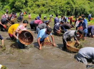 Springkeepers of Kashmir