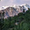 Daksum: Quietly Wild