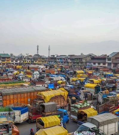 Srinagar vegetable market video misleading: Food Safety Deptt