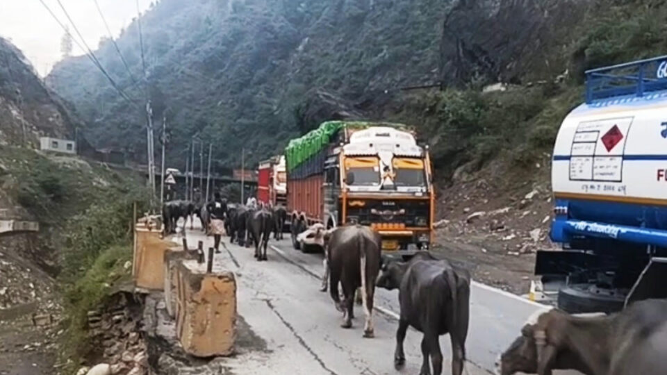Srinagar-Jammu NH open despite landslides, shooting stones