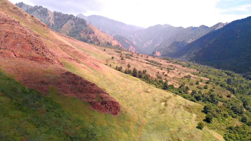 1178 Hectares Gone