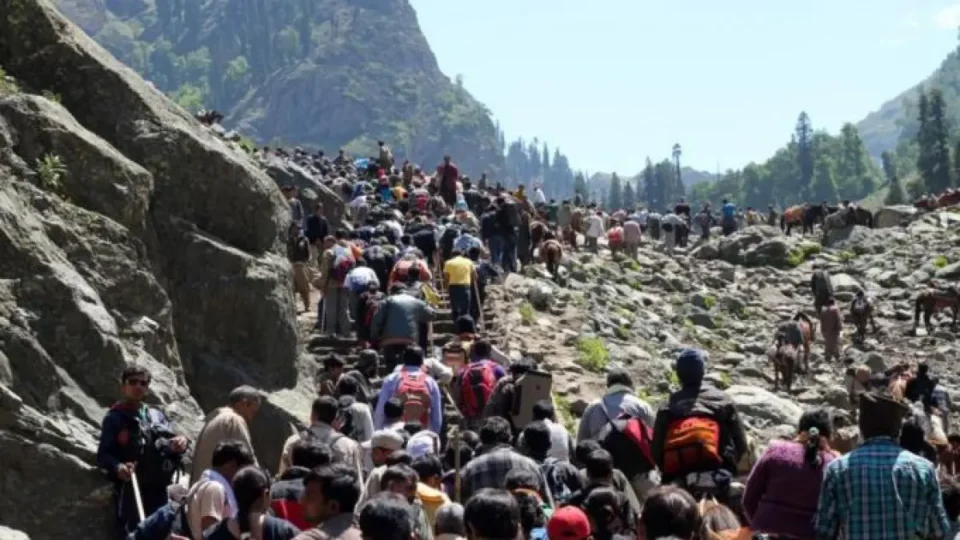 Crowd Vs Conservation